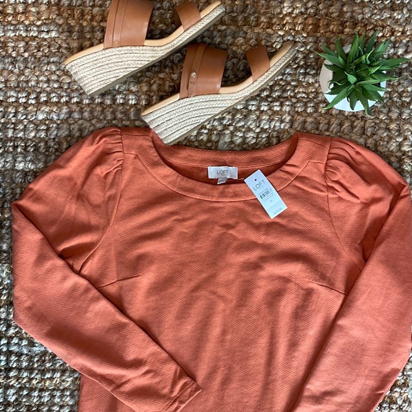 Loft Rust Orange Shift Cotton Dress - Picture 3 of 8